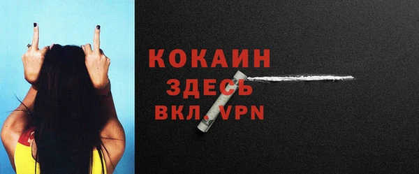 гидра Арсеньев