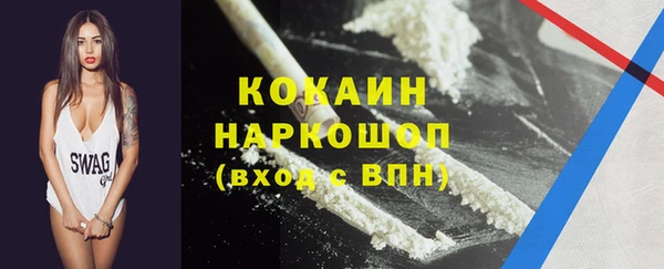 гидра Арсеньев