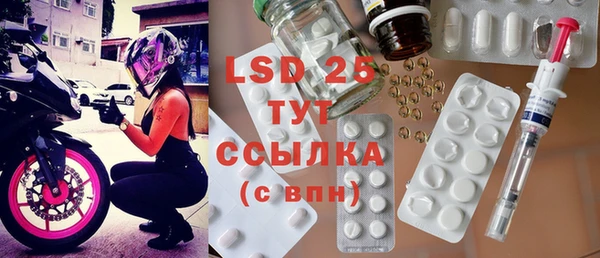 ГАЛЛЮЦИНОГЕННЫЕ ГРИБЫ Балахна