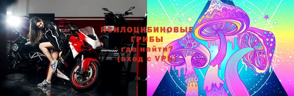 ГАЛЛЮЦИНОГЕННЫЕ ГРИБЫ Балахна