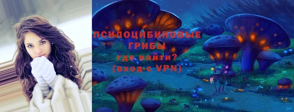 гидра Арсеньев