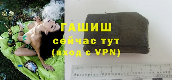 гидра Арсеньев